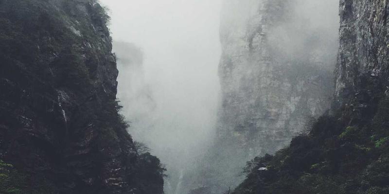 2024年必备网络技术推荐：从开发教程到软件工具全解析