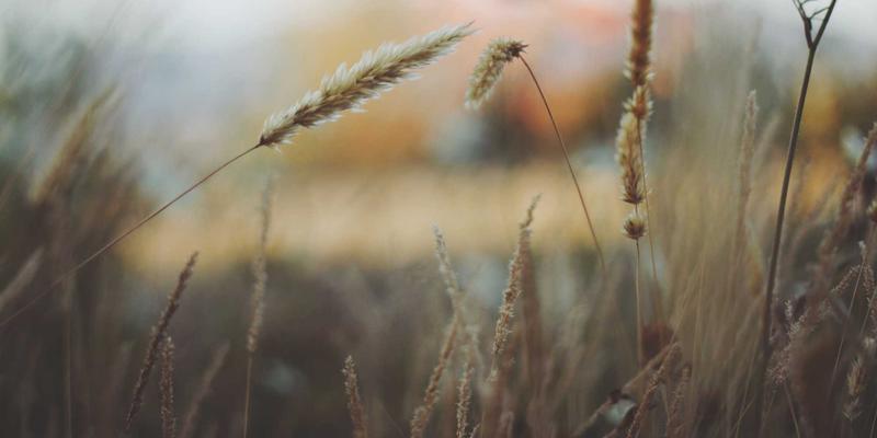 2024年网络技术趋势全解析：从开发教程到运维指南的实战资源