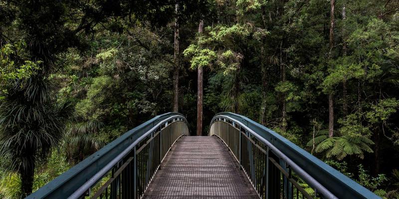 编程资源与软件工具如何重塑网络技术：SD-WAN与SASE融合趋势深度解析