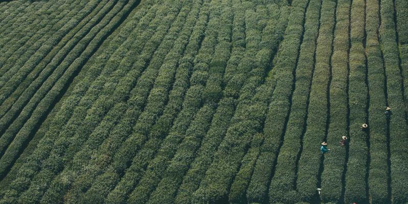 网络性能监控与优化技术：提升用户体验的关键方法与编程资源分享