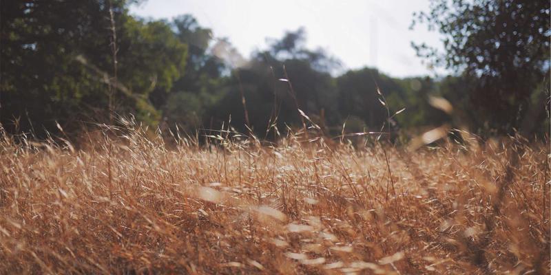 网络技术20：运维指南与实用软件工具深度解析