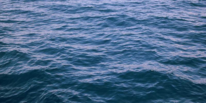 网络技术96:编程资源、运维指南与前沿技术全景解析