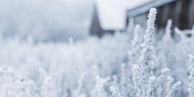 网络技术新范式：深度解析SD-WAN与SASE的融合演进与编程资源实践