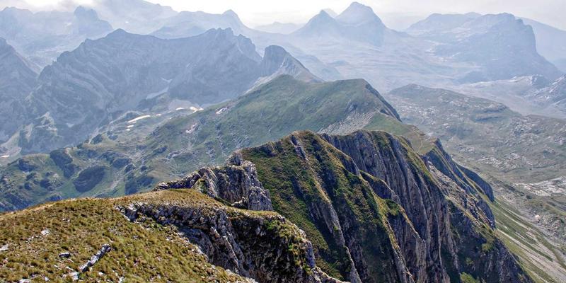 网络技术新趋势：NFV与CNF融合部署策略解析，提升网络安全与资源效率