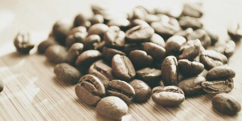 网络技术是什么？解锁编程资源、技术分享与软件工具的现代密码