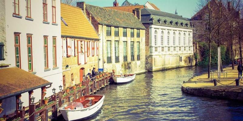 网络技术评测与工具实战指南：从软件工具到开发教程的深度解析