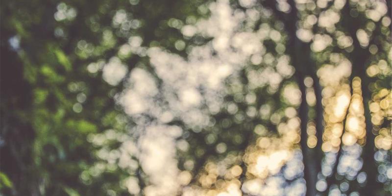 网络技术进阶指南：精选编程资源、运维策略与高效软件工具