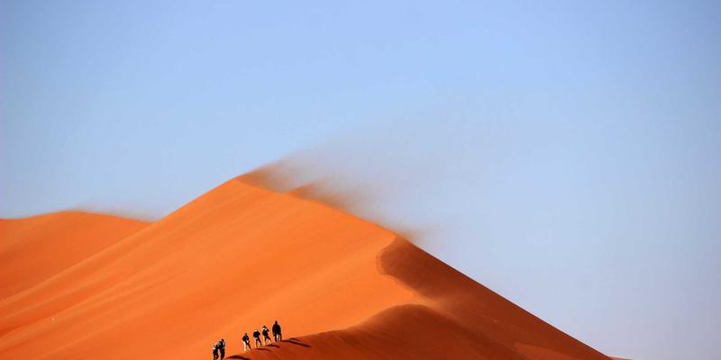 软件定义网络(SDN)在数据中心网络架构中的实践：核心软件工具与编程资源解析