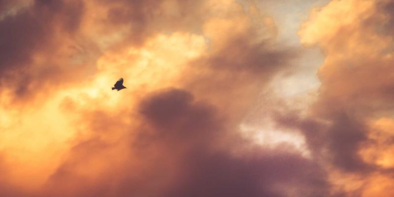 高性能网络编程双剑客：深度解析DPDK与eBPF技术原理、实战场景与网络安全应用